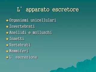 l apparato escretore