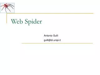 web spider