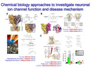 Li et al . Mol Pain (2011) Duan et al. J Neurosci (2011)