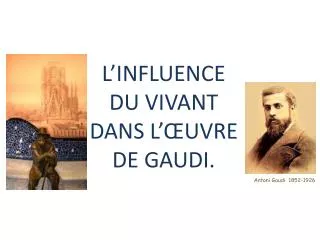 l influence du vivant dans l uvre de gaudi