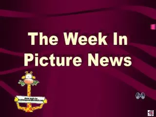The Week In Picture News