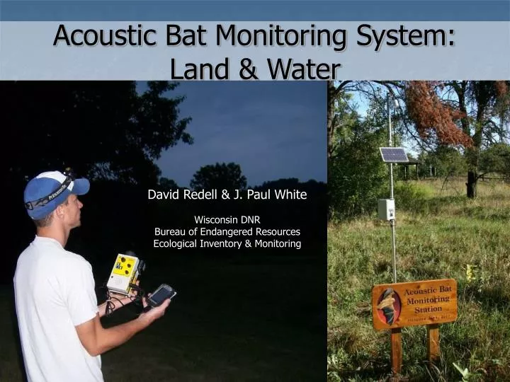 acoustic bat monitoring system land water