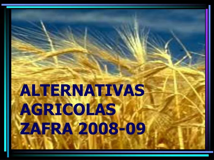 alternativas agricolas zafra 2008 09
