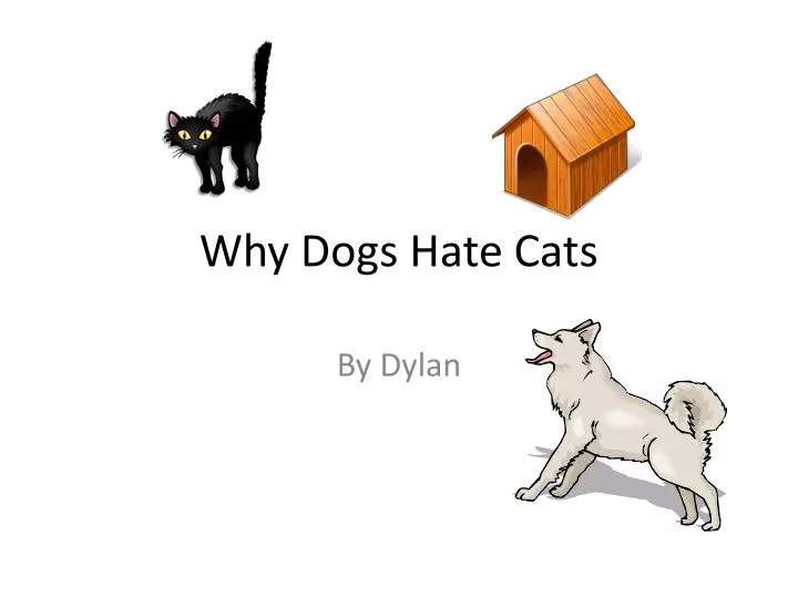 why dogs hate cats