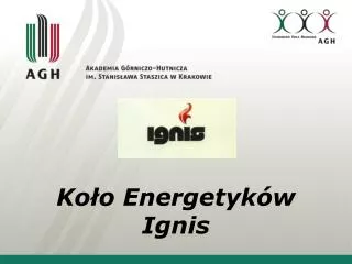 ko o energetyk w ignis