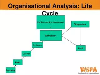 Organisational Analysis: Life Cycle