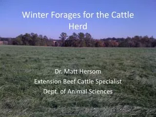Winter Forages for the Cattle Herd