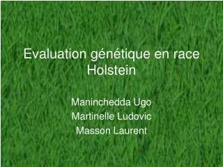 evaluation g n tique en race holstein