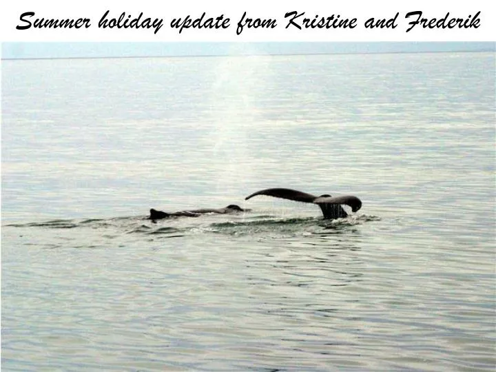 summer holiday update from kristine and frederik