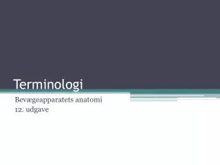 terminologi