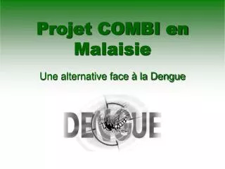 projet combi en malaisie