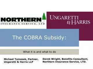 The COBRA Subsidy: