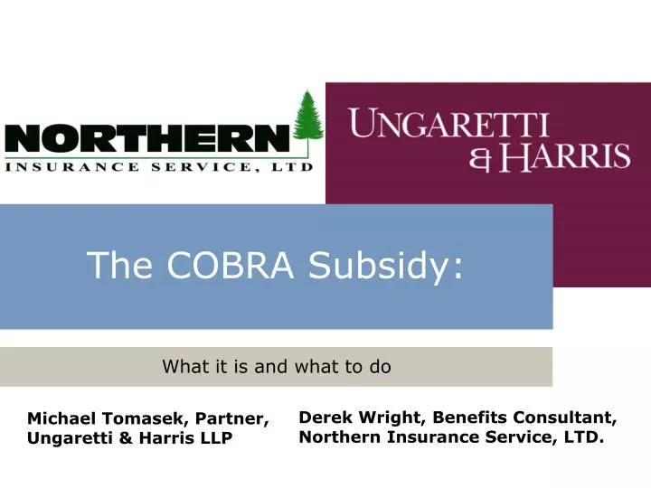 the cobra subsidy