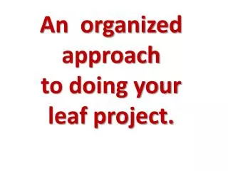 An organized approach to doing your leaf project.