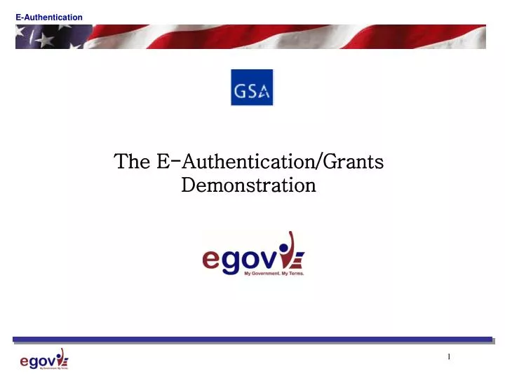 the e authentication grants demonstration