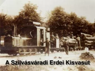 a szilv sv radi erdei kisvas t