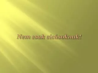 nem csak cic soknak