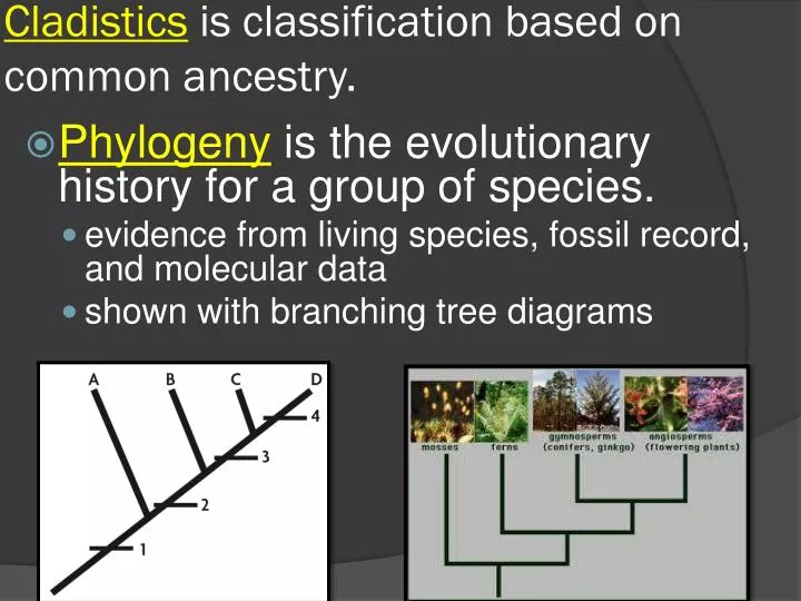 cladistics is classification based on common ancestry