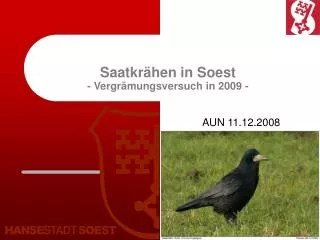 saatkr hen in soest vergr mungsversuch in 2009