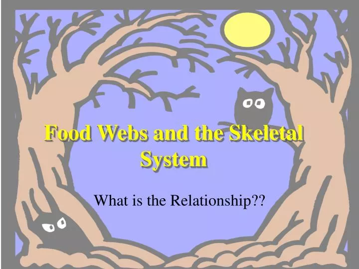 food webs and the skeletal system