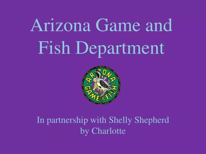 in partnership with shelly shepherd by charlotte