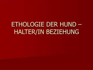 ethologie der hund halter in beziehung