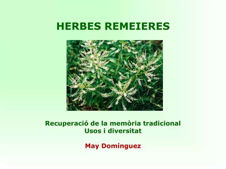 herbes remeieres