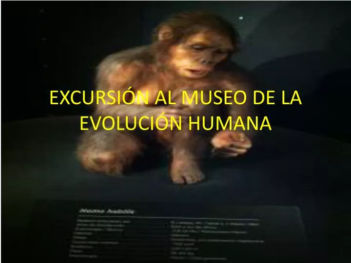 excursi n al museo de la evoluci n humana