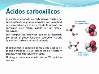 cidos carbox licos
