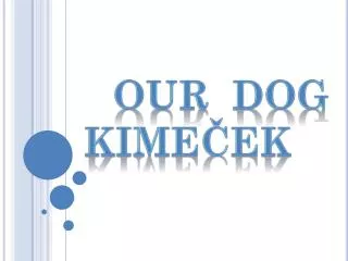 Our dog KIme?ek