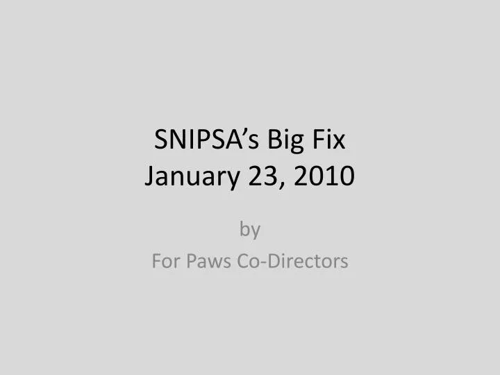 snipsa s big fix january 23 2010
