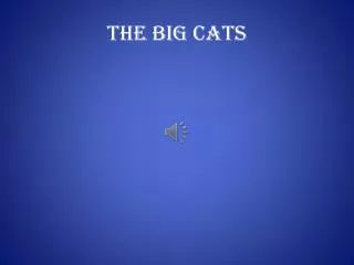 The big cats