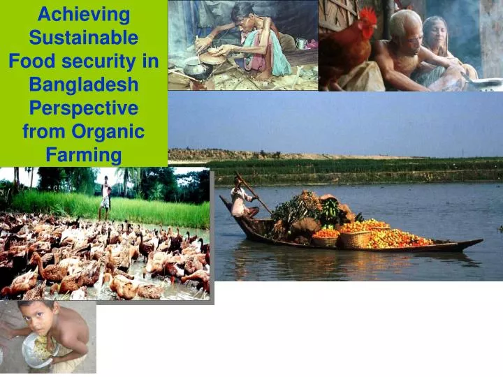 achieving sustainable food security in bangladesh perspective from organic farming