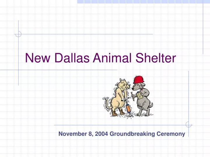 new dallas animal shelter