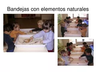 bandejas con elementos naturales