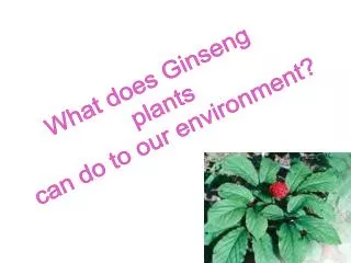 What does Ginseng plants can do to our environment?