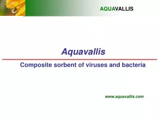 Aquavallis Composite sorbent of viruses and bacteria