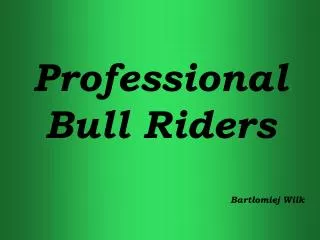professional bull riders