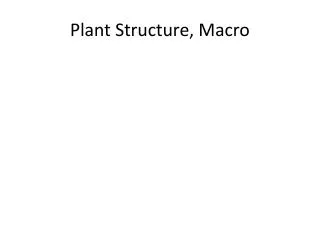 Plant Structure, Macro