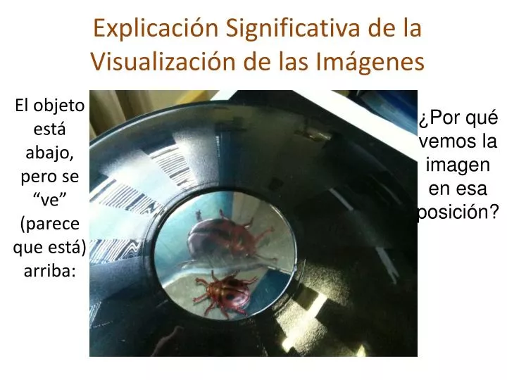 explicaci n significativa de la visualizaci n de las im genes