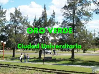 oro verde