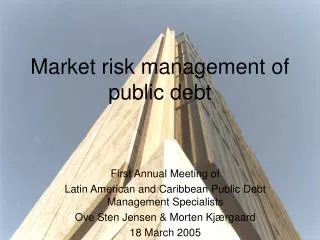 Market risk management of public debt