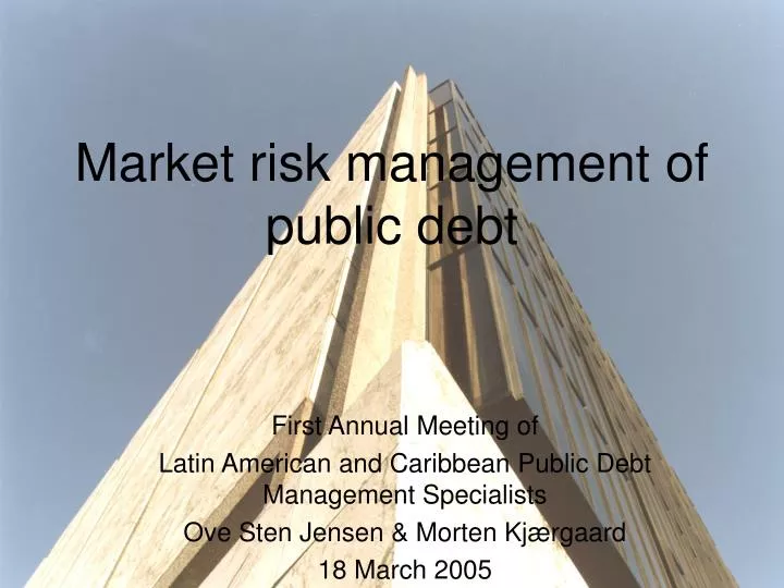 market risk management of public debt