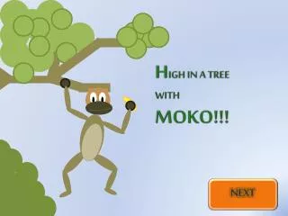 H IGH IN A TREE WITH MOKO!!!