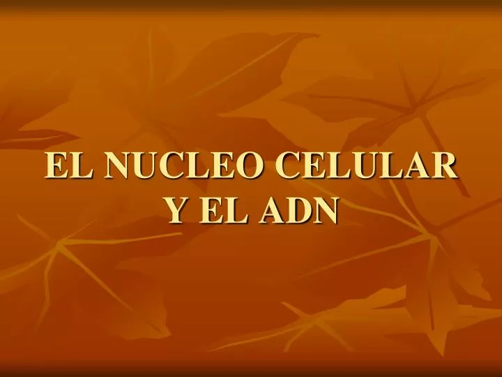 el nucleo celular y el adn