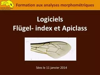 Logiciels Flügel - index et Apiclass