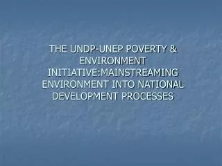 UNDP-UNEP POVERTY &amp; ENVIRONMENT INITIATIVE (PEI)