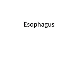esophagus