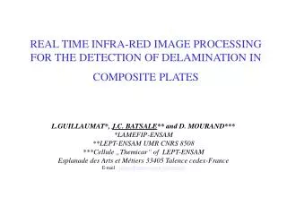 REAL TIME INFRA-RED IMAGE PROCESSING FOR THE DETECTION OF DELAMINATION IN COMPOSITE PLATES