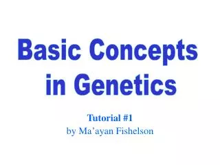 tutorial 1 by ma ayan fishelson